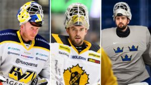 SAMMANSTÄLLNING: Så är målvaktsläget i alla SHL-klubbar