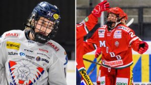 LHC:s bottennapp – nollades på hemmais