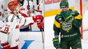 ”Hockey är inte logiskt alla gånger”