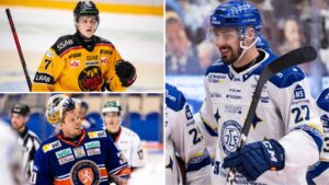 SHL-säsongen i siffror – de utmärkte sig mest