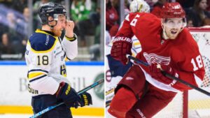 Tidigare NHL-svensken lägger av – 31 år gammal