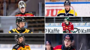 Sex svenskar tippas gå i förstarundan av NHL-draften