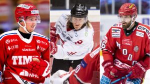 De har varit Hockeyallsvenskans bästa NHL-lån