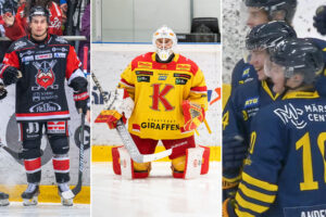 Hockeyettans vinnare och förlorare vid årets deadline