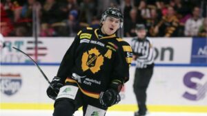 Mäktigt hattrick sänkte Malmö – Skellefteås förstakedja dominerade: ”Grymma hockeyspelare”