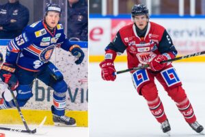 MJÖRNBERG: Hockeyettans fräsigaste gubbar 20/21