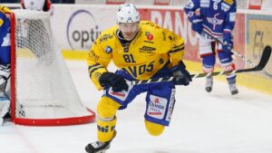 Svensken fick ny NHL-chans – nu är han uppsatt på waivers