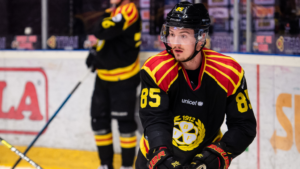 Förre Brynäs-forwarden Rudolf Červený skriver KHL-kontrakt