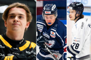 Sex namn för Hockeyallsvenskan