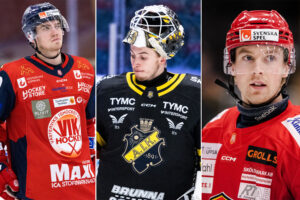 Tio allsvenska spelare som skulle kunna bli profilvärvningar i Hockeyettan