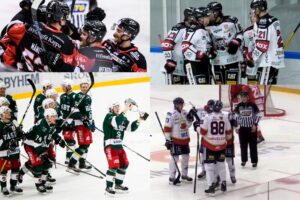 Favoriten, jokern, floppen och jumbon – här är Hockeyettan 21/22