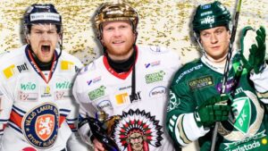 Så har de 14 SHL-lagen värvat hittills