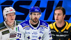 BODIN: De 14 SHL-lagens mest värdefulla spelare 2021