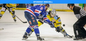 Spela ishockey online