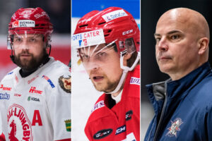 Hockeyettans flashigaste assistenter – andretränarna som står ut