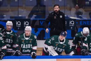 MJÖRNBERG: Var det verkligen så här det skulle bli?