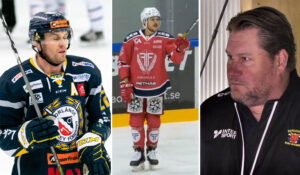 LAG FÖR LAG:  Så var 2021 i Hockeyettan Västra