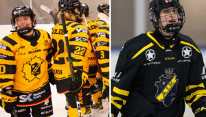 Skellefteå AIK klart för SDHL – AIK åker ur