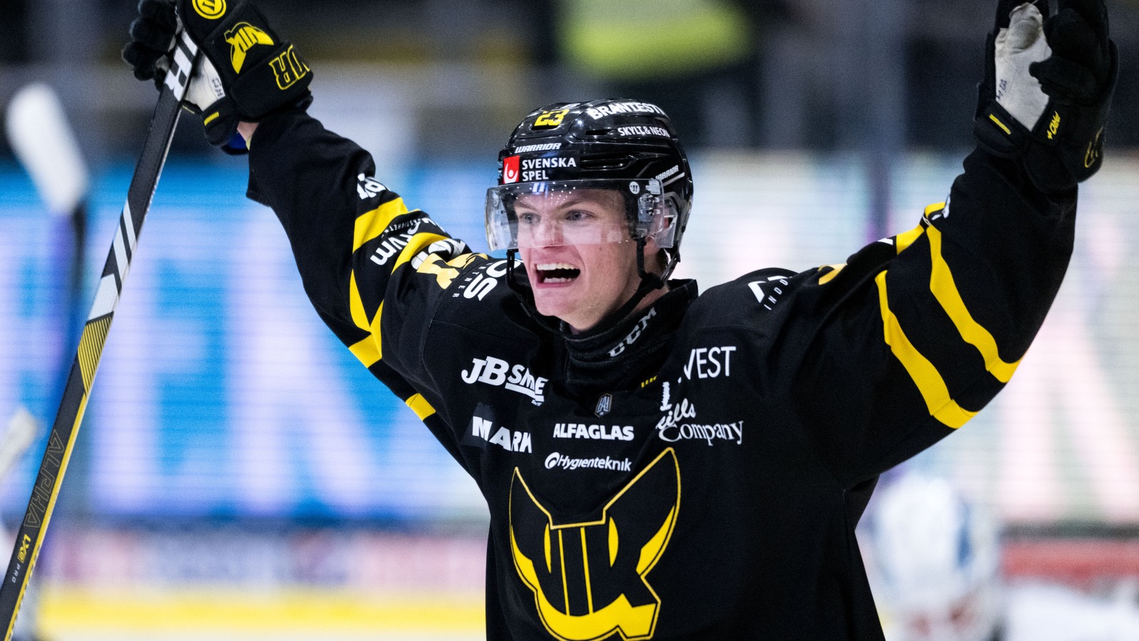 Uppges vara på väg till SHL – nu bemöter Adam Hofbauer ryktet