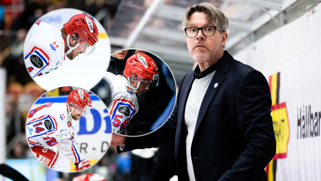 Ante Karlsson om Timrås skador: “Det finns ju specialskydd”