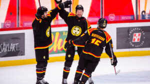 Brynäs bröt mardrömssviten