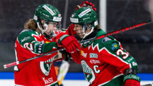 2-1 i matchserien efter ny vinst för Frölunda HC mot Djurgården