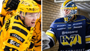 HV71 föll tungt – målvaktsspelet ifrågasatt: “Kostsamt”