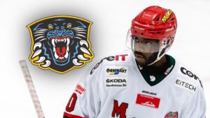 Edwin Hedberg flyttar till Nottingham Panthers