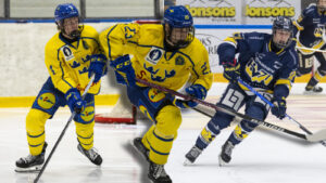 Framtidens stjärnor – HV71 J18: Kommentarer om ALLA spelare