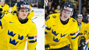 San Jose Sharks vill plocka över Mattias Hävelid och Filip Bystedt till nästa säsong