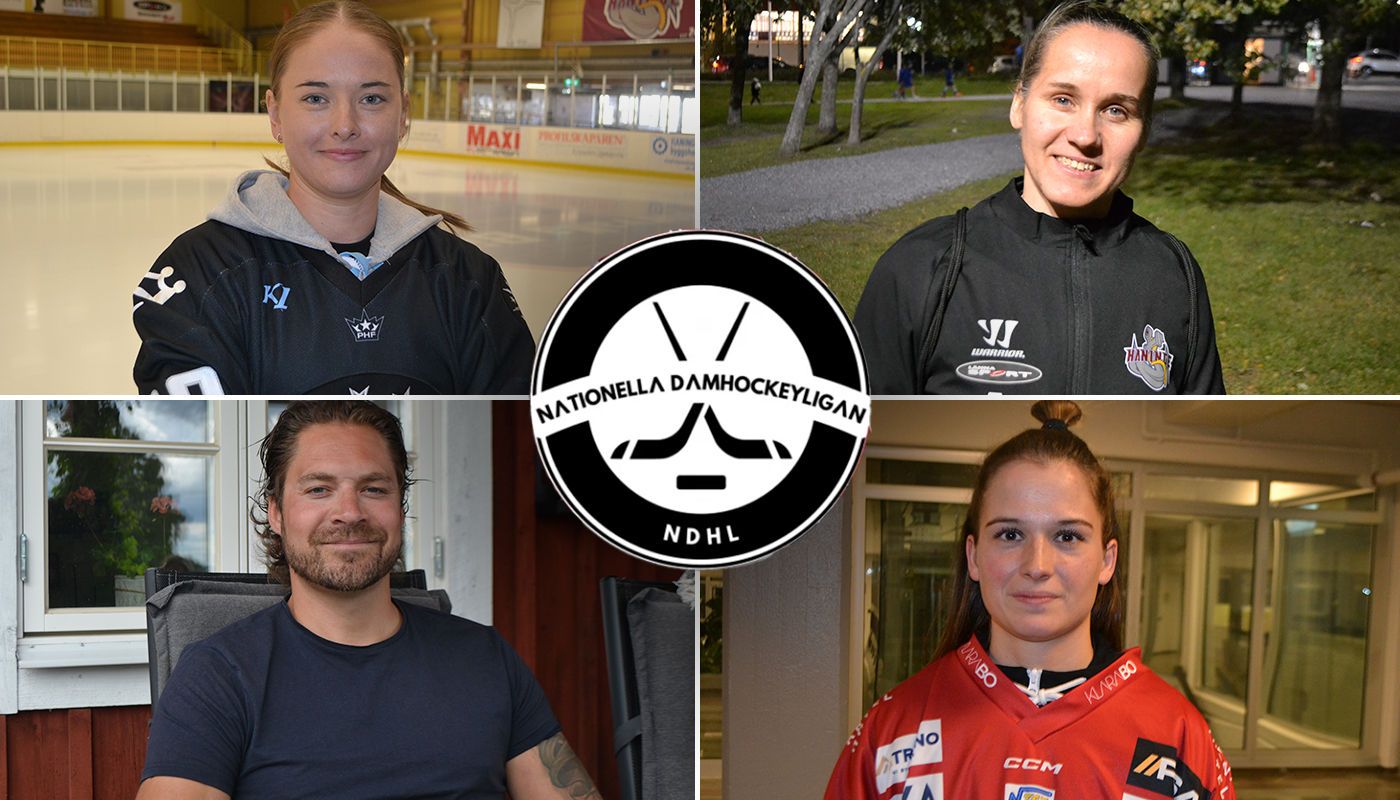 NDHL-tipset: De är favoriter att ta steget upp