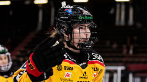 Stjärnan sänkte Brynäs – med hattrick