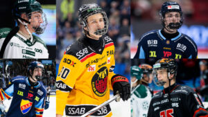 LISTA: Alla gallerspelare i SHL och Hockeyallsvenskan