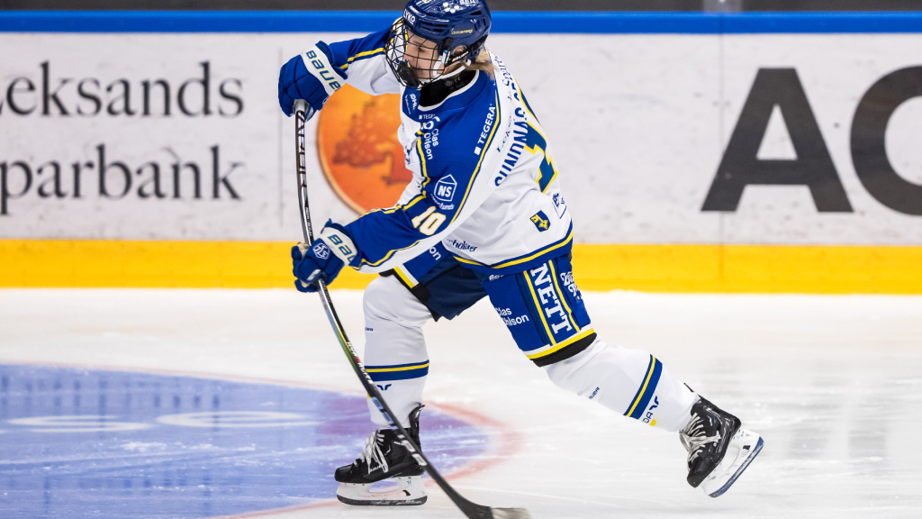 Seger för Leksand hemma mot AIK