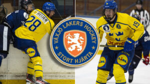 Framtidens stjärnor – Växjö Lakers J18: “Det finns mycket potential”