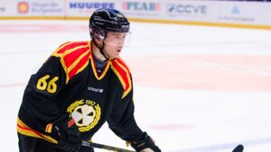 Bröt med Brynäs – nu klar för Hockeyettan