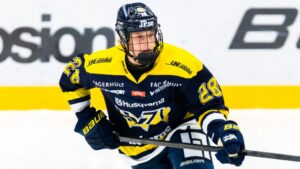 Forwardstalangen klar för Brynäs