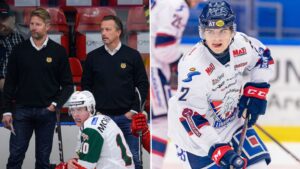 Skadekris – då lånas SHL-back in