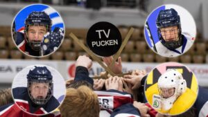 Spelarna som utmärkte sig mest i TV-pucken 2020