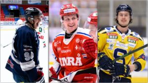 A closer look at this year’s class of HockeyAllsvenskan forwards