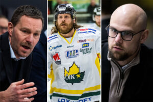 HOCKEY(H)ETTAN-PANELEN: Profilernas råd till kvalserielagen – ”Skicka taktiken i papperskorgen”