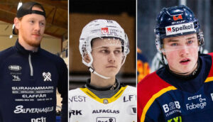 Kvalspelarna som krattat för att bli kvar i Hockeyettan