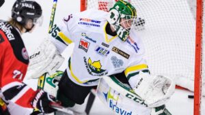 Tingsryd fortsätter värva från Hockeyettan