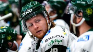 Nära uppflyttning med Björklöven i fjol – återvänder nu till Hockeyettan