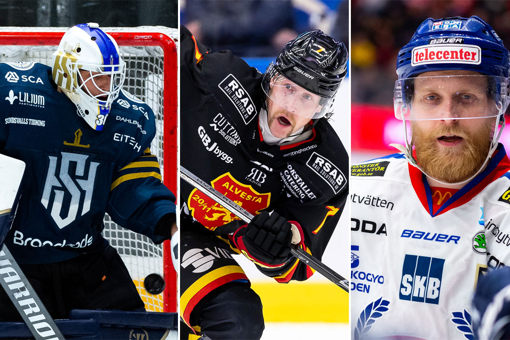 Säsongens främsta importer i Hockeyettan