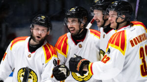 Stort jubel när Brynäs säkrade seriesegern med vinst mot Tingsryd