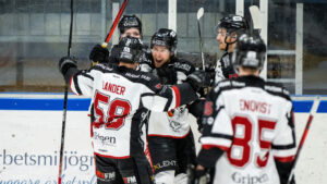 Seger för Hudiksvall hemma mot Brödernas/Väsby