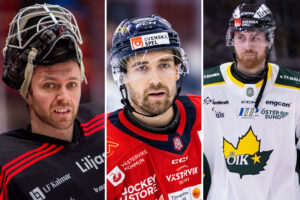 Tio allsvenska spelare klippta och skurna för att bli Hockeyettan-värvningar