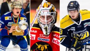 Alla juniorer i SHL och Hockeyallsvenskan kommande säsong