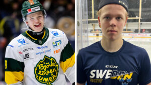 Noah Dower Nilsson återförenas med brorsan – i Björklöven